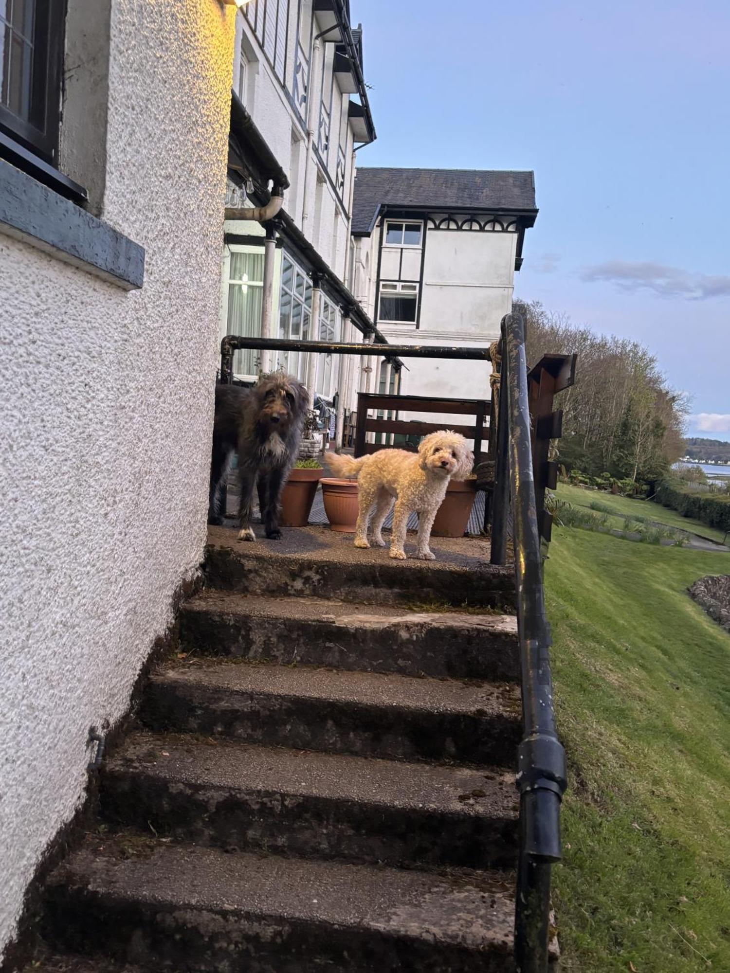 North Lodge Kilmun ภายนอก รูปภาพ
