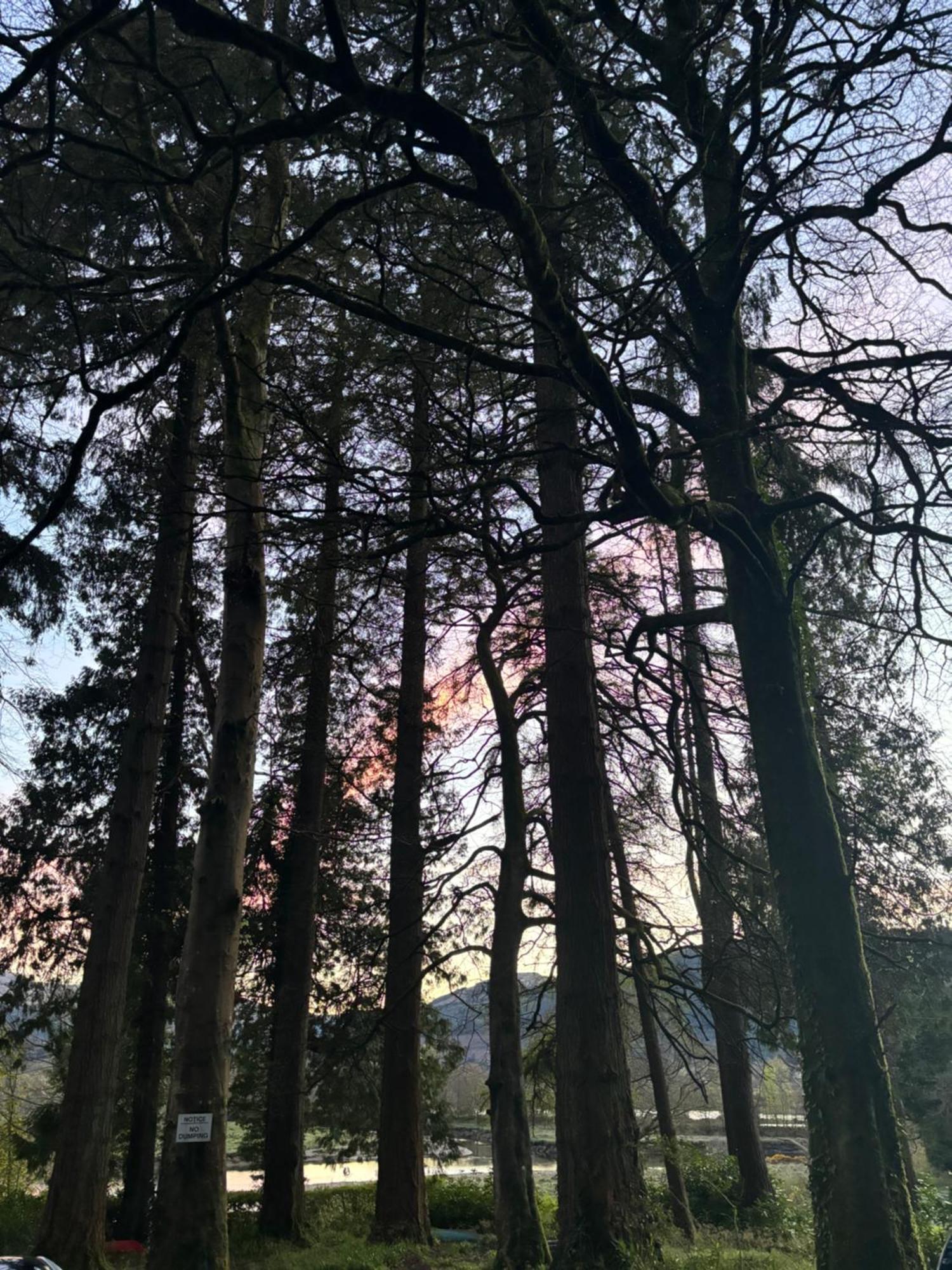 North Lodge Kilmun ภายนอก รูปภาพ