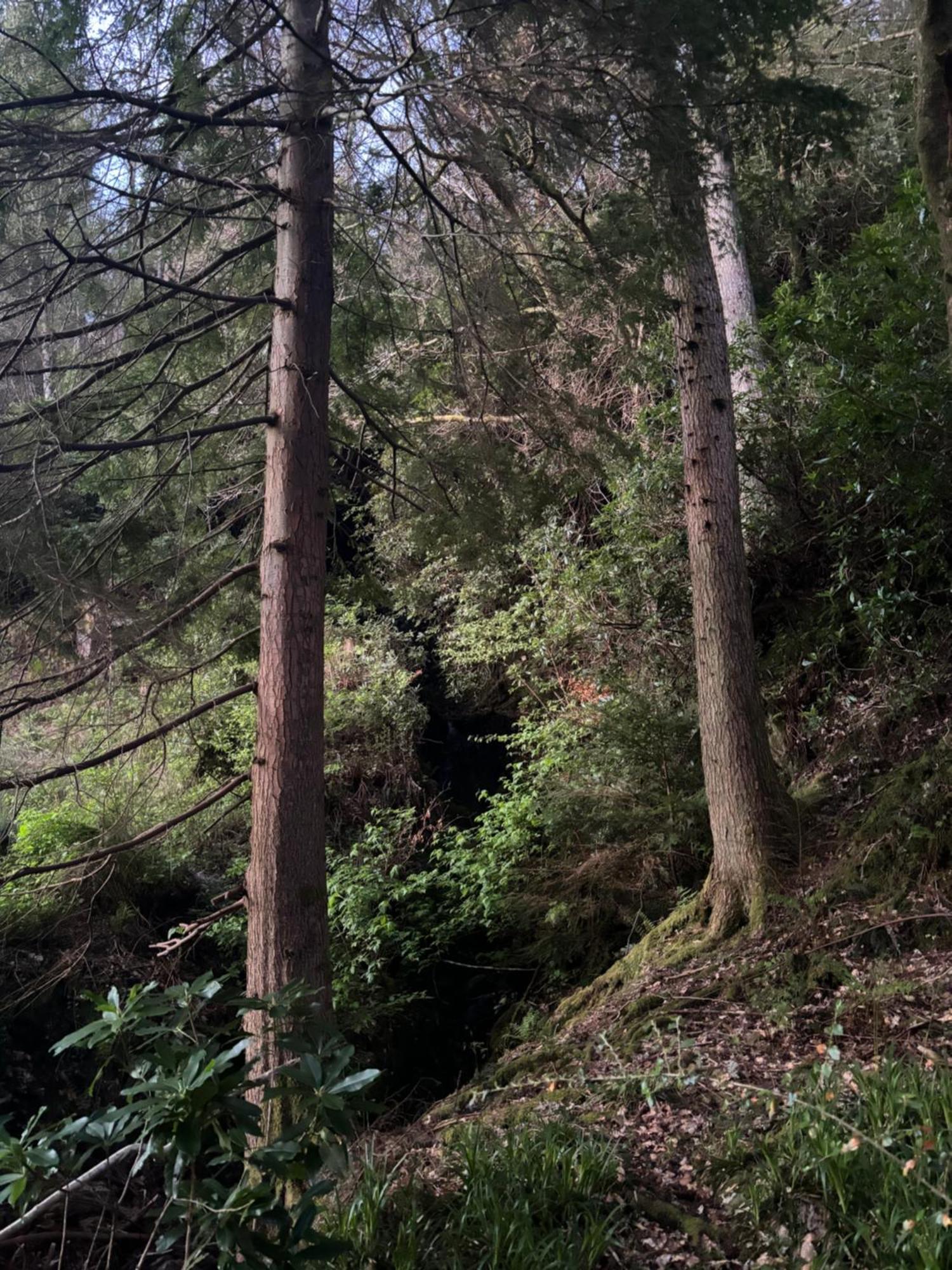 North Lodge Kilmun ภายนอก รูปภาพ