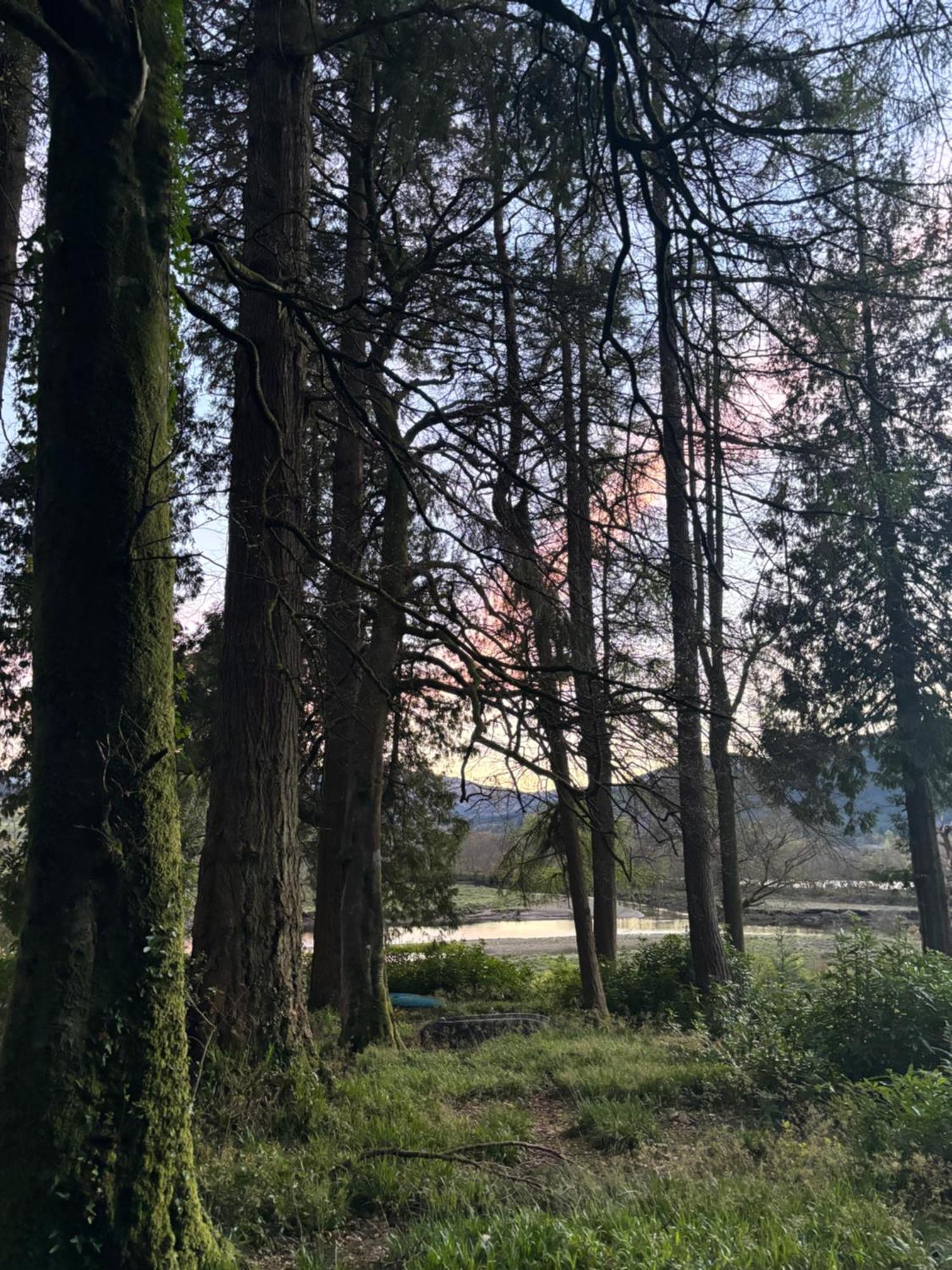 North Lodge Kilmun ภายนอก รูปภาพ